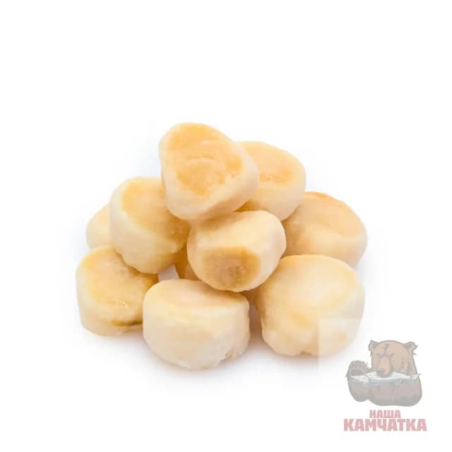 Гребешок курильский